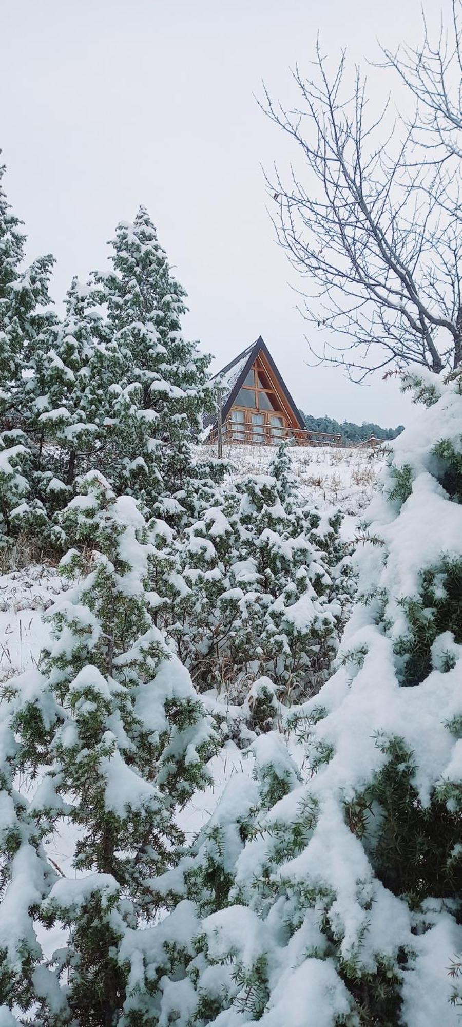 Villa Monte Zen Žabljak Exterior foto